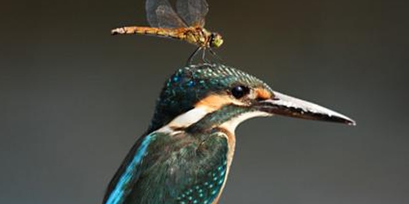 Resource Box Header Sustainability Junto